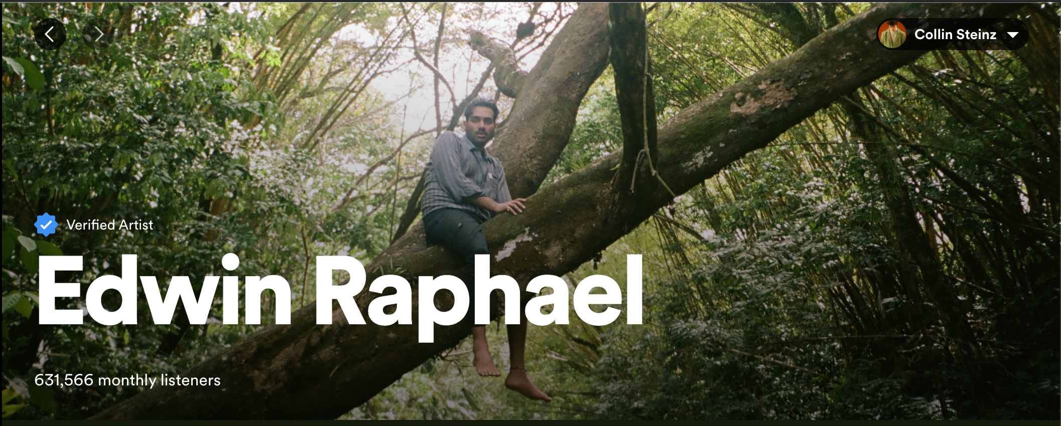 Screenshot of Spotify artist profile for Edwin Raphael