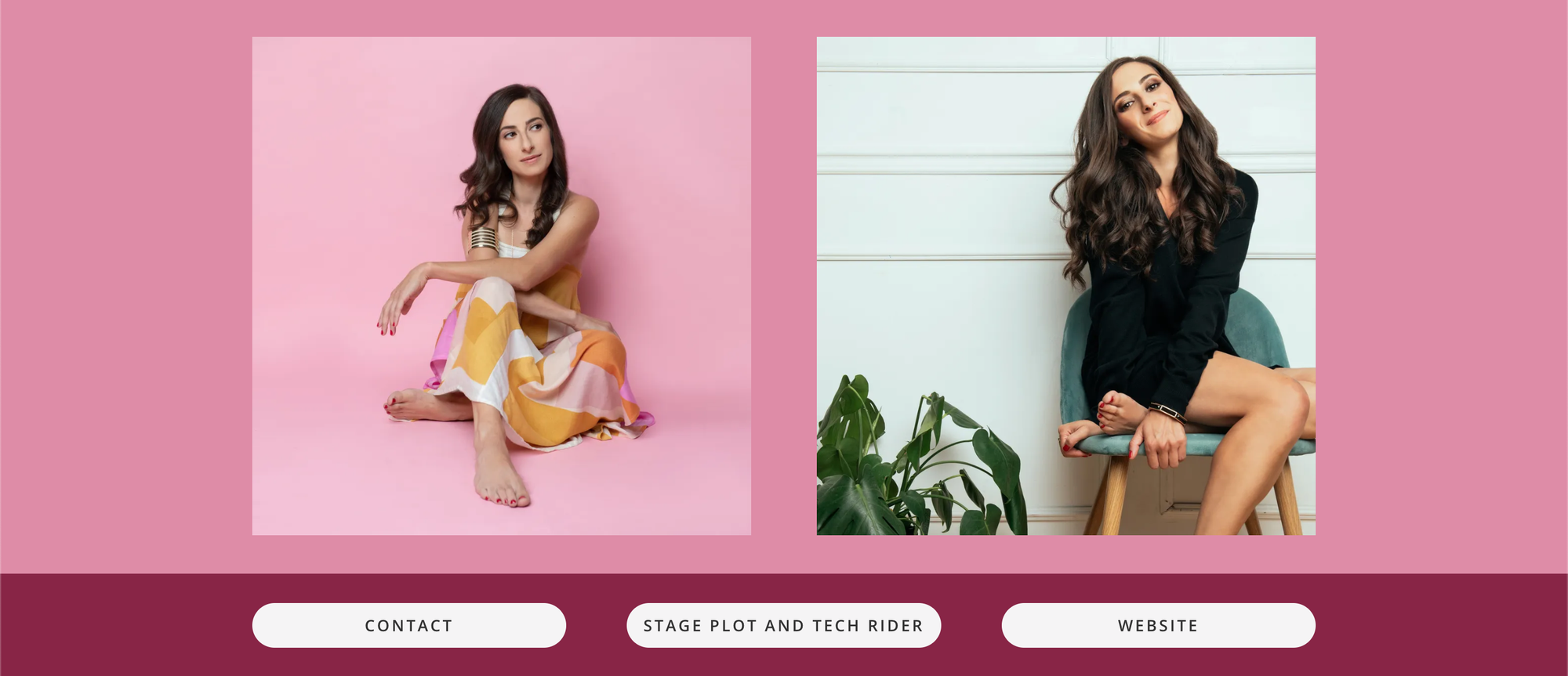 Bandzoogle blog: 6 things to add to your music portfolio. Screenshot from artist's Bandzoogle website.