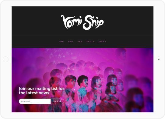 social media fans  content ideas for musicians