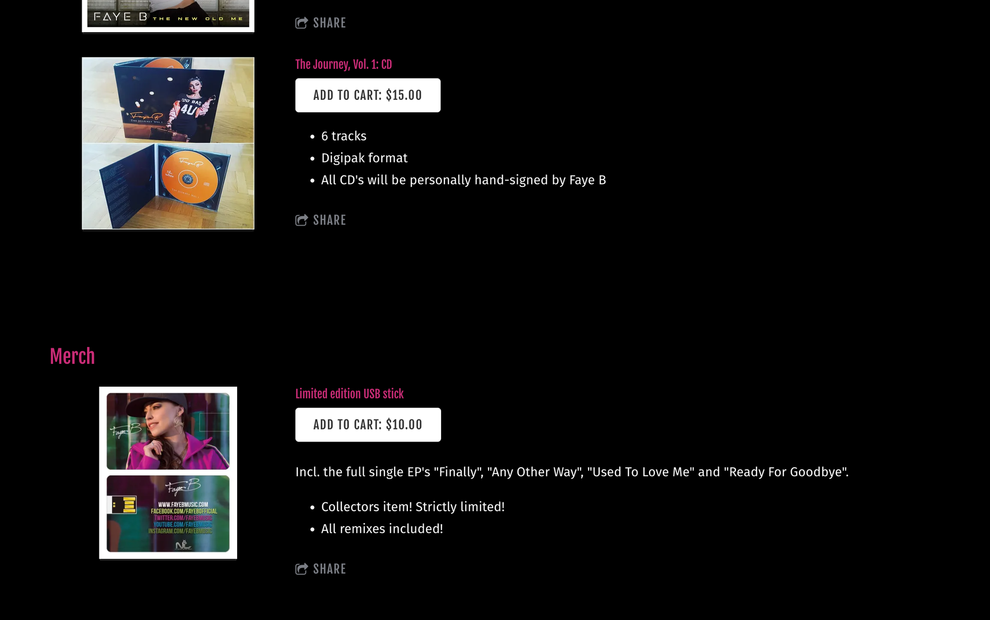 Bandzoogle blog: 25 creative band merch ideas. Image shows the merch store of musician Faye B's Bandzoogle website, showing a limited-edition USB stick.