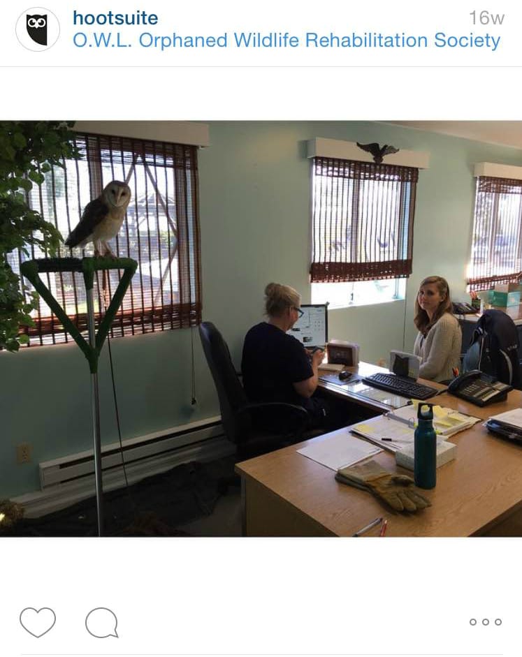 borders best tools for Instagram.jpg