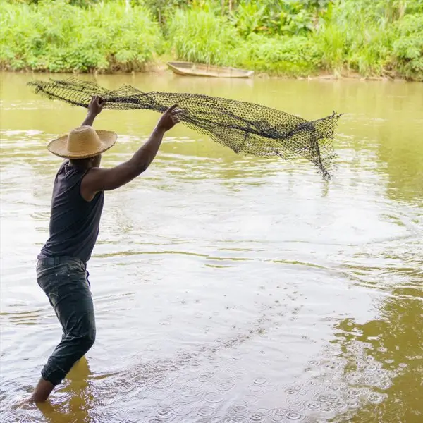 Aguajes De Mar y Manglar - Cantares Del Pacifico