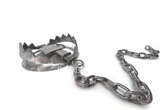 bear-trap1