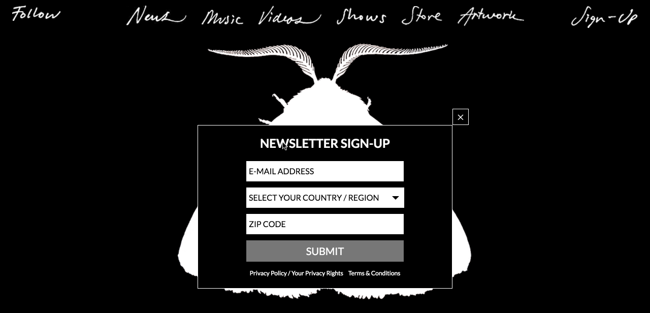The mailing list signup on Chairlift's home page.