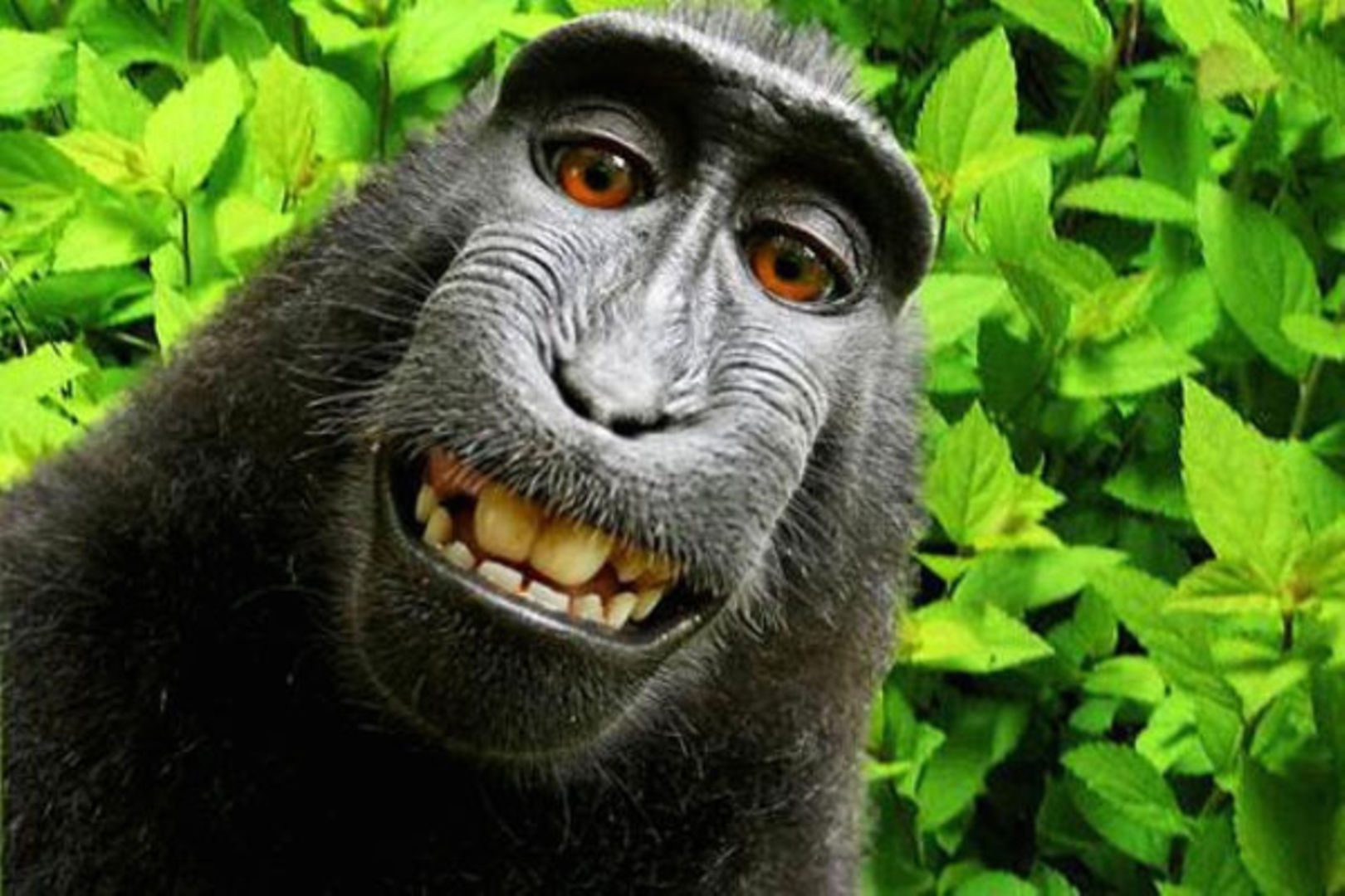 A photo of an acoustic guitar with a notepad and pen on top, placed on a wooden floor, symbolizing music creation, songwriting, and musical inspiration.