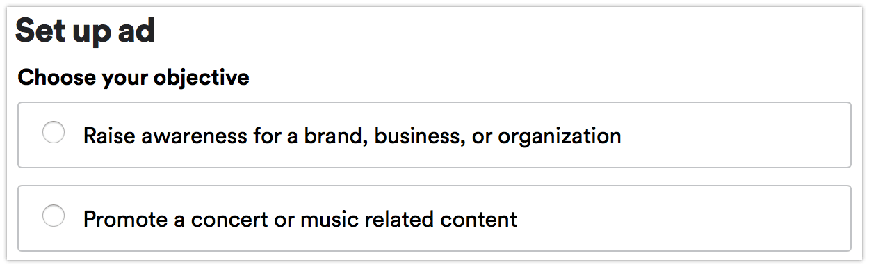 Spotify ad setup