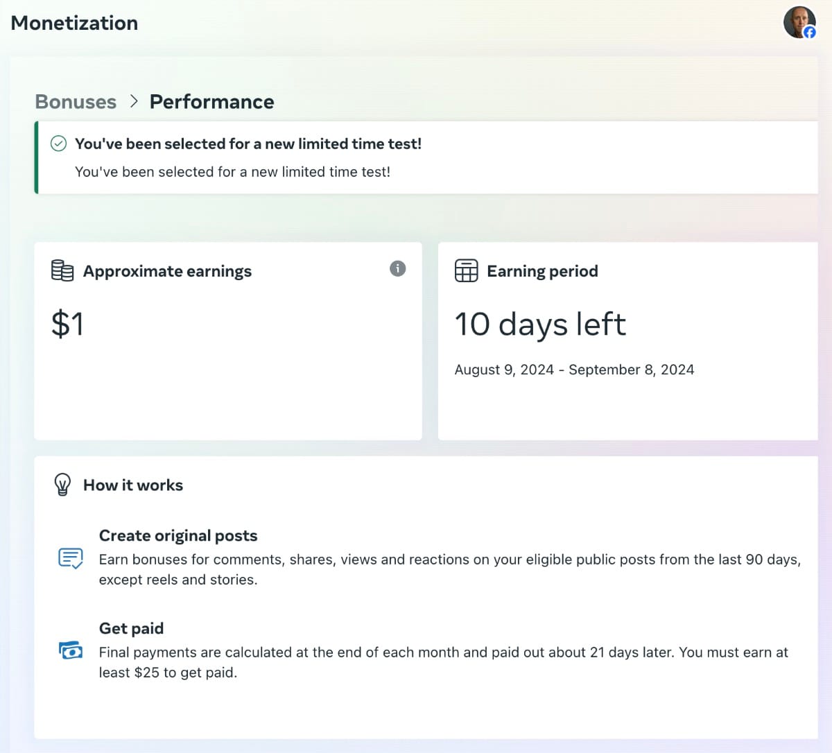 Meta Performance Bonus Program performance