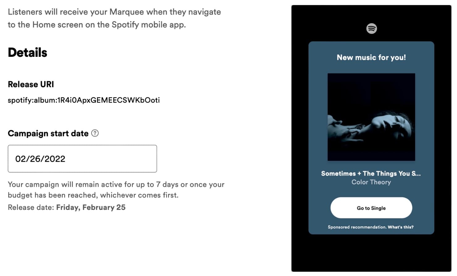 Spotify Marquee details