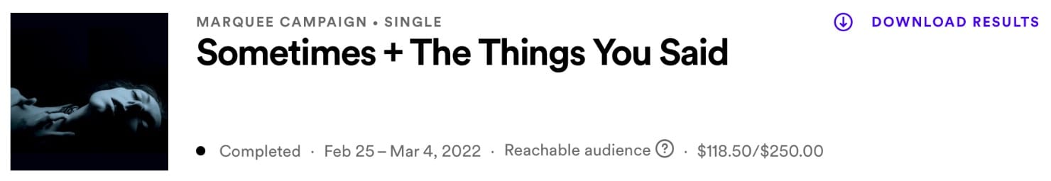 Spotify Marquee Campaign 1