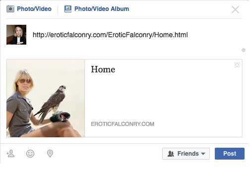 screen-shot-2016-11-21-at-5-33-31-pm