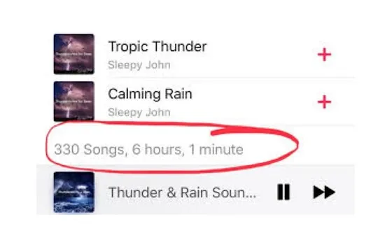 High-quality music streaming interface showing playlist details and song duration, emphasizing music streaming, playlist mana