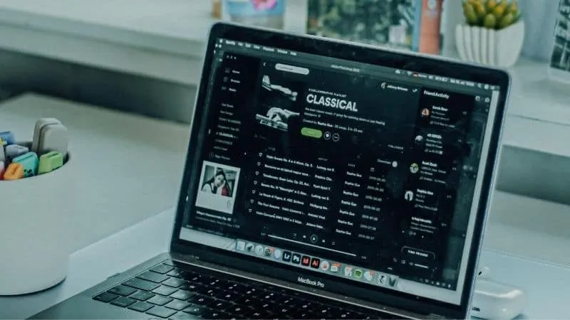 cooperative Spotify Playlist