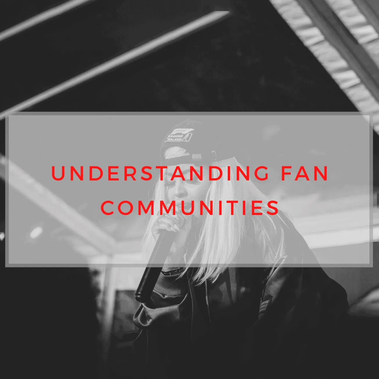 Fan community engagement at music event, music fan club, concert audience enthusiasm, live music fans, music festival support