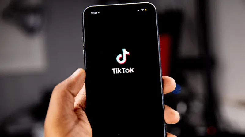 TikTok For Artists