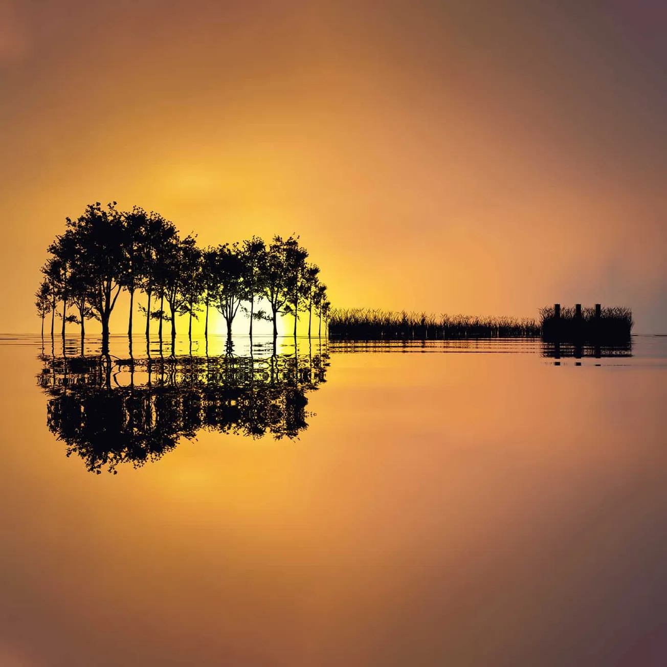 Serene lakeside scene with silhouetted trees reflecting on calm water during sunset, showcasing nature, tranquility, and beau