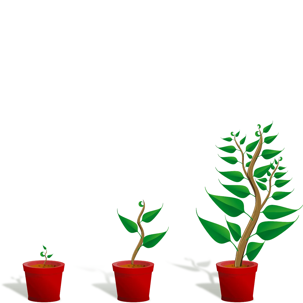 Growth of music industry, digital transformation, artist development, music streaming evolution, entrepreneurial success in m