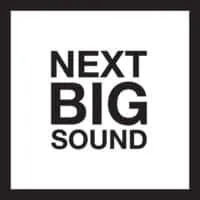 Next big sound music festival logo, promotional event branding for emerging artists and music industry trends.