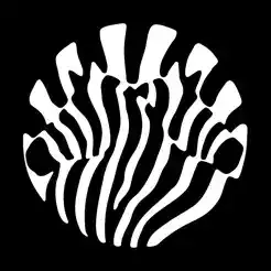 A vibrant, psychedelic black and white Hypebot logo featuring abstract wavy patterns and bold text design.