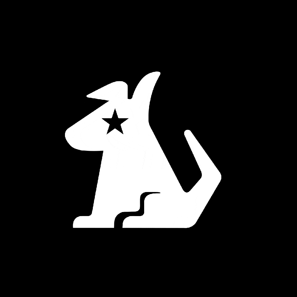 $9.99 SiriusXM streaming service leans into human curation, exclusives