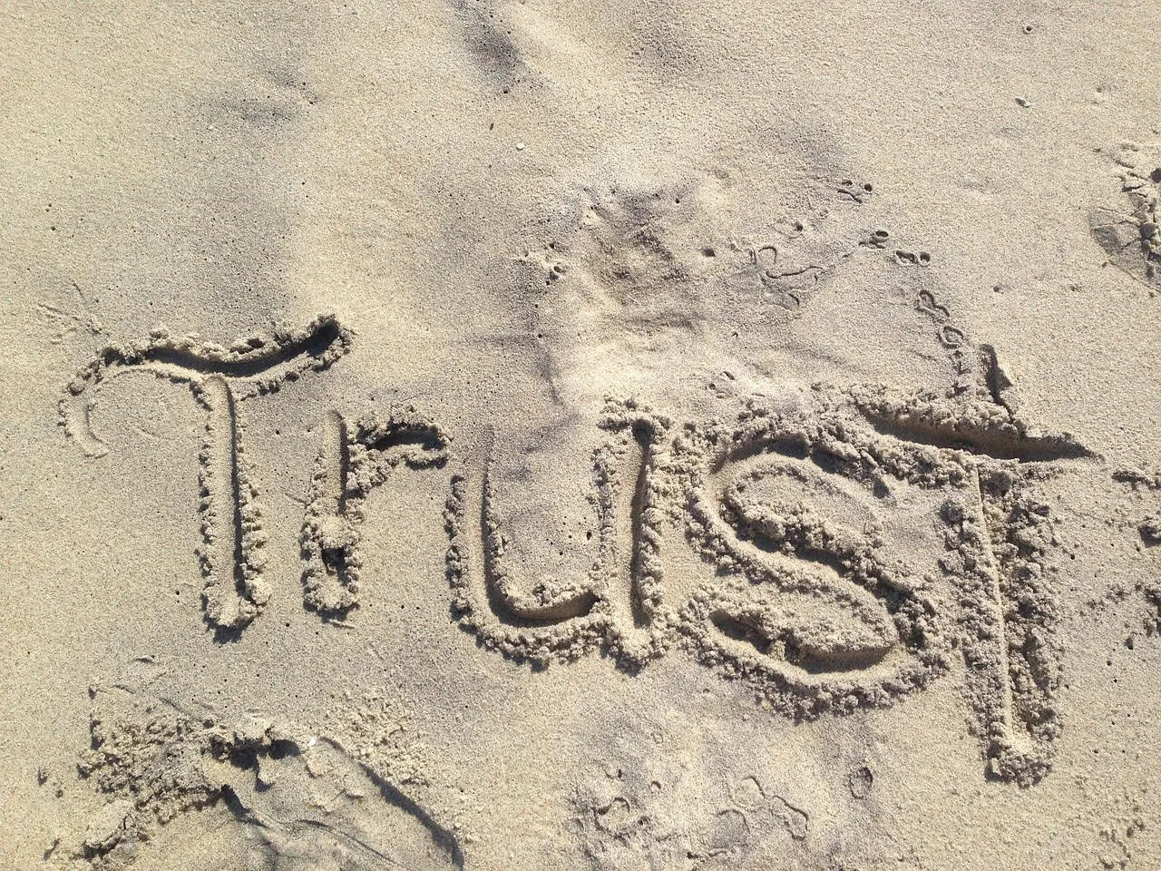 building trust in music investments