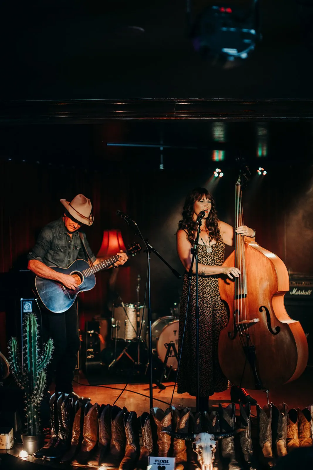 country-folk favorites Wild Ponies by Laura Schneider Photo