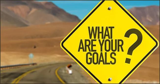 - What are your goals for personal or professional growth?.