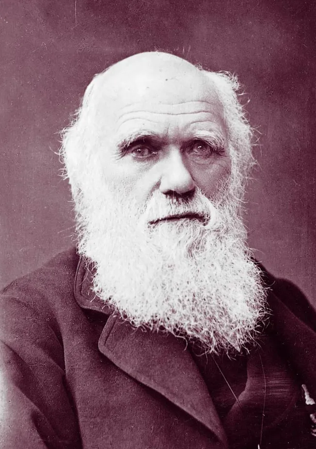 Vintage portrait of an elderly man with a long white beard, dressed in historical attire, emphasizing classic photography and