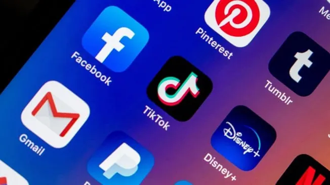Social media app icons on smartphone screen including Facebook, TikTok, Gmail, Disney+, Pinterest, Tumblr, and PayPal, emphas