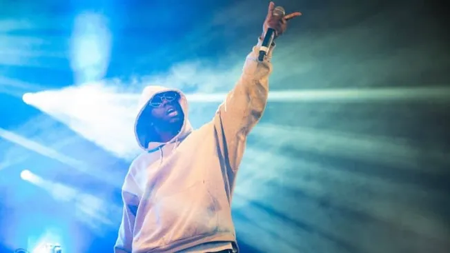 Hypebot music artist live performance at concert with colorful stage lighting promoting music industry trends.