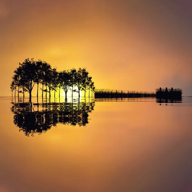 Serene lakeside scene with silhouetted trees reflecting on calm water during sunset, showcasing nature, tranquility, and beau