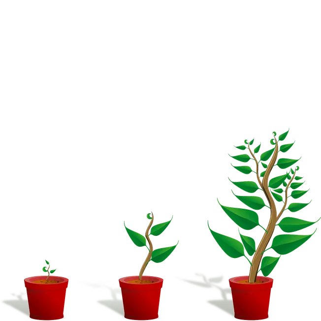 Growth of music industry, digital transformation, artist development, music streaming evolution, entrepreneurial success in m