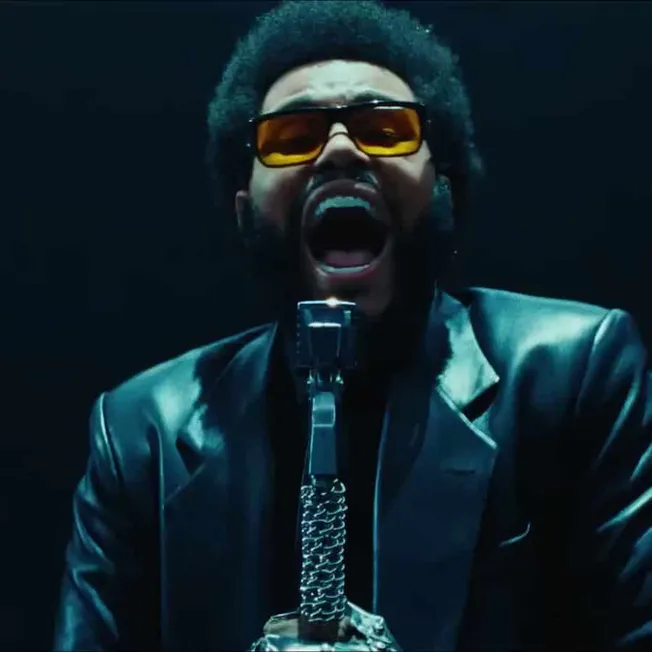 Viral singer performing passionately with microphone, wearing sunglasses and retro style leather jacket, in a dynamic stage s