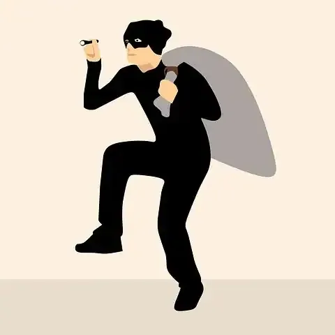 A stylized illustration of a thief holding a laptop and a bag of money, representing cybercrime or hacking themes.