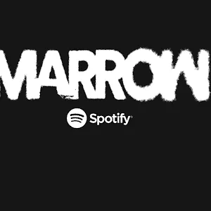 Music industry analytics and music marketing insights from Hypebot on Spotify branding and digital music trends.