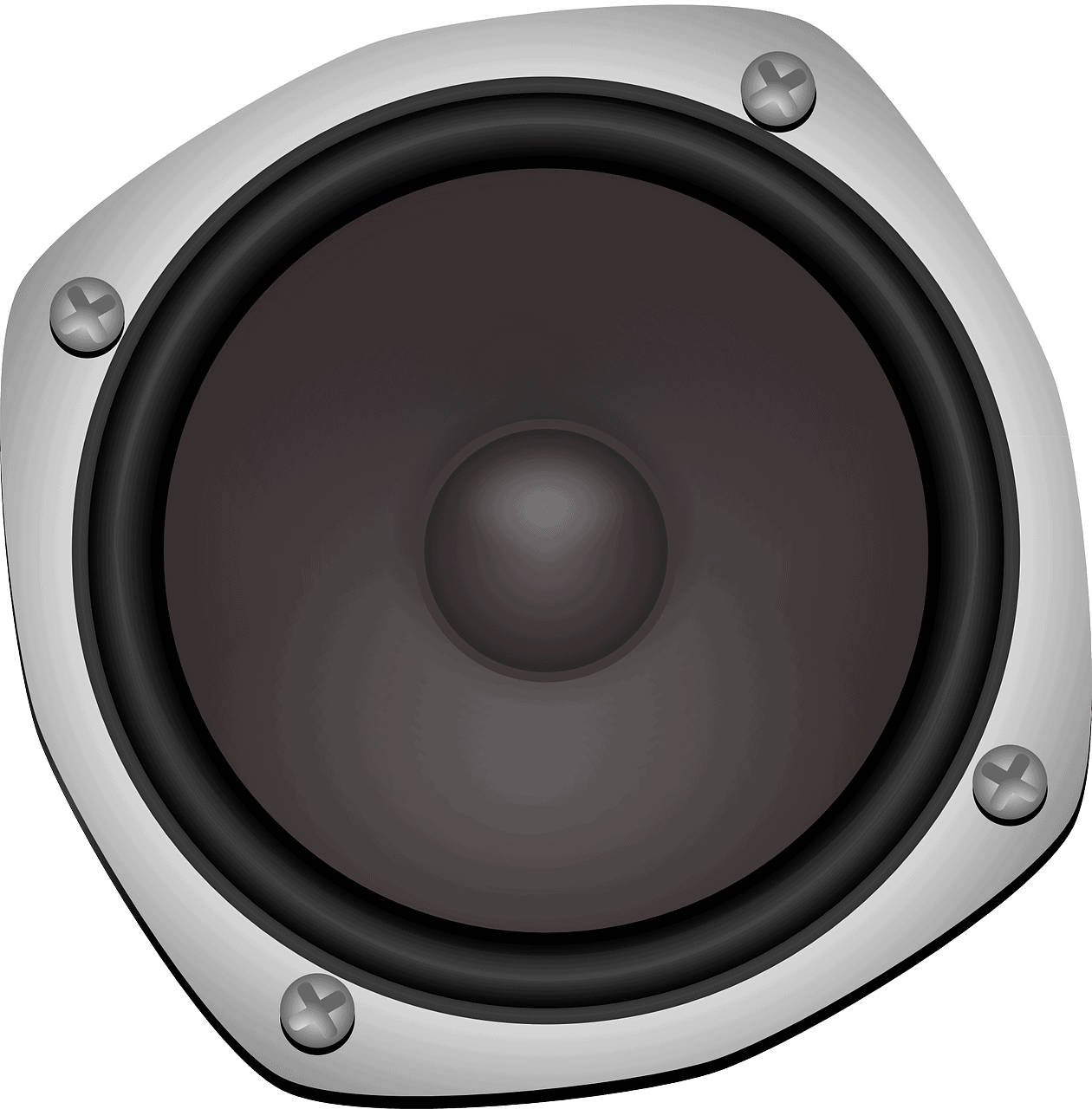 High-quality audio speaker with a black cone and silver frame, designed for music production, audio playback, and sound engineering in the digital entertainment industry.