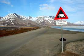 Geological hazard warning sign along coastal road in remote mountainous area with snow-capped peaks in background.