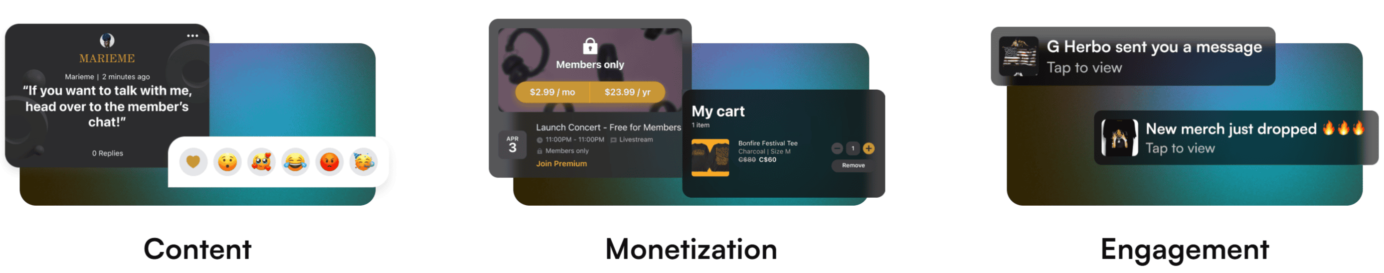 MySeat Media Dave Cool