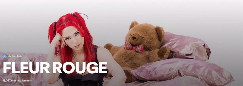 Beginners Guide to Spotify for Artists