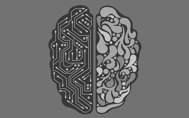 Circuit board and brain illustration representing AI and human intelligence collaboration.