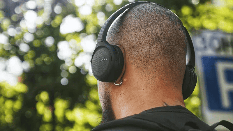 Build a Fanbase with Email Marketing