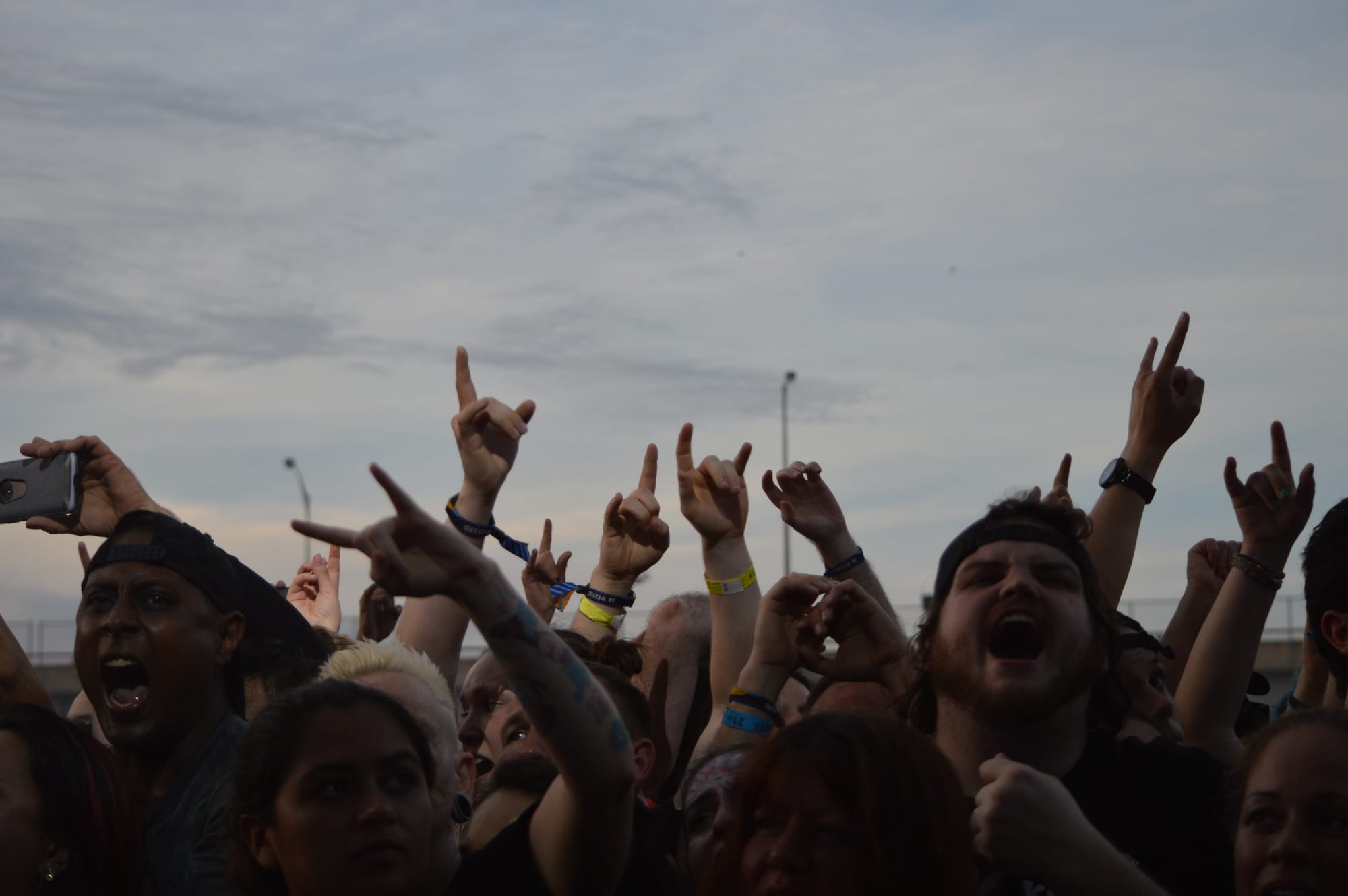 Fans at an outdoor concert