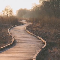 Marketers Know About Fans - Fan Journey